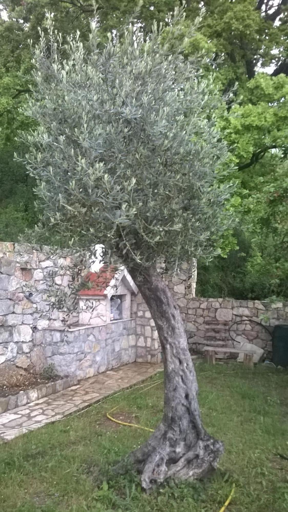 House Stijepovic Villa Petrovac Стая снимка